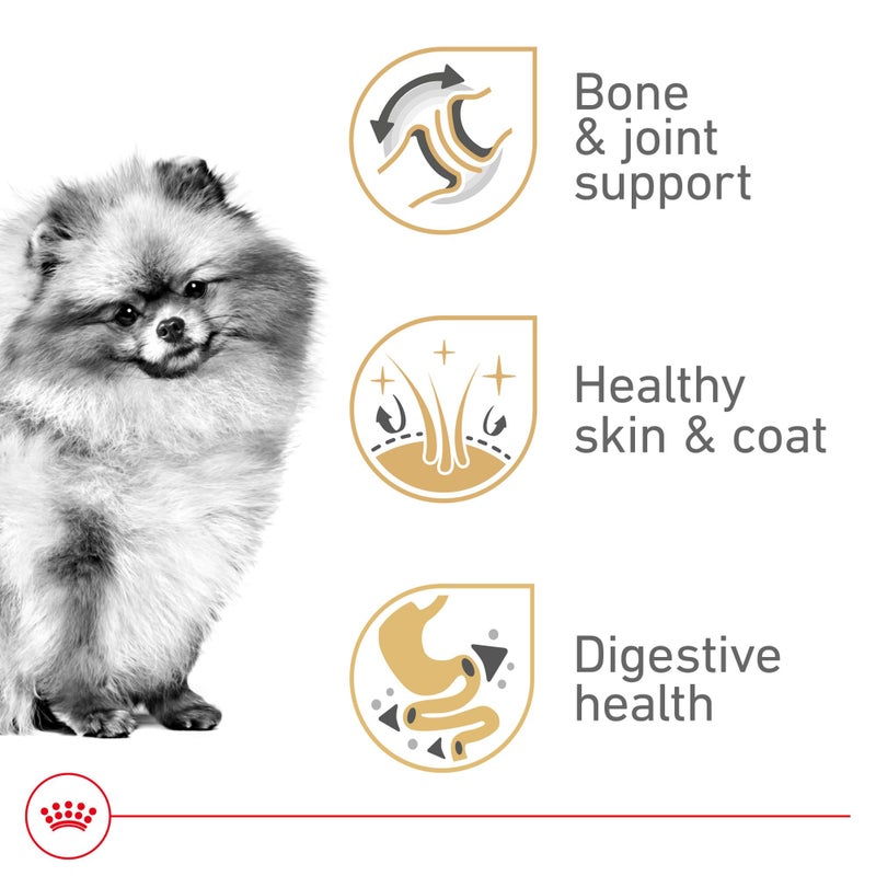 Royal Canin Breed Health Nutrition Pomeranian Adult Dry Dog Food, 10 lb Bag - Image 2